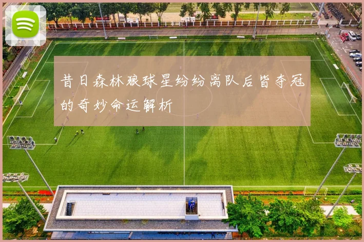 昔日森林狼球星纷纷离队后皆夺冠的奇妙命运解析